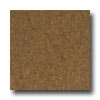 APC Cork Apc Cork Floor Tile 4.8mm Terracotta Cork Flooring