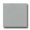 Daltile Daltile Modern Dimensions 2 1 / 8 X 8 1 / 2 Desert Gray Matte Tile  &