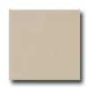 Daltile Daltile Modern Dimensions 4 1 / 4 X 8 1 / 2 Urban Putty Matte Tile  &