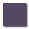 Daltile Daltile Festiva 4 1 / 4 X 4 1 / 4 Iris Tile  &  Stone
