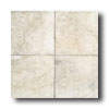 American Olean American Olean Porte Leona 18 X 18 Avorio Tile  &  Stone
