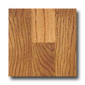 Witex Witex Basis Plus Colonial Oak Laminate Flooring
