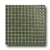 Daltile Daltile Maracas Glass Mosaics - Frosted Green Leaf Tile  &  Stone