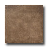 Emser Tile Emser Tile Tuscania 13 X 13 Noce Tile  &  Stone