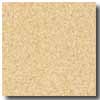 Armstrong Armstrong Safeguard Hydro Slip-retardant Corn Vinyl Flooring