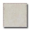Cerdomus Cerdomus Durango 6 X 6 Bianco Tile  &  Stone