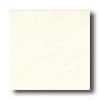 Daltile Daltile Capella 12 X 12 Gardini Blanco Tile  &  Stone