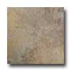 Metroflor Metroflor Tru-tile Collection - Riveria Monterossa Vinyl Floorin