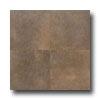 American Olean American Olean Metroplex 13 X 19 Umber Tile  &  Stone