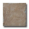 Emser Tile Emser Tile Natural 18 X 18 Wood Tile  &  Stone