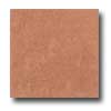 Daltile Daltile Diamante Polished 18 X 18 Rosso Polished Tile  &  Stone