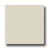 Congoleum Congoleum Ultima - Pebble Creek Multi Stoned Putty Vinyl Floorin