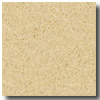 Armstrong Armstrong Stone Rectangle 12 X 24 Camaro Ivory Vinyl Flooring