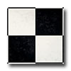 Armstrong Armstrong Starstep - Blackwell 6 Ebony And White Vinyl Flooring