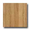 Hartco Hartco Premier Performance Oak 5 1 / 4 Natural Hardwood Flooring