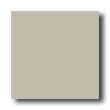 American Olean American Olean Unglazed Ceramic Mosaics - Abrasive 1 X 1 Doe Til