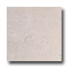 Laufen Laufen Basilica 12 X 12 Polished Etruscan Light Grey Tile  &  Ston