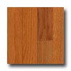 Zickgraf Zickgraf Country Collection 2 1 / 4 Oak Butterscotch Hardwood Floo