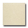 Tarkett Tarkett Fiber Floors Textures - Organza Rich Creams Vinyl Floori