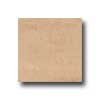 Interceramic Interceramic Valencia 12 X 12 Matte Albero Tile  &  Stone