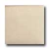 Tilecrest Tilecrest Bellisima 3 X 6 Linen Gloss Tile  &  Stone