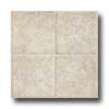 Armstrong Armstrong Canyon Creek - Carrizo 6 White Rock Vinyl Flooring