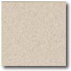 Daltile Daltile Porcealto (textured) 12 X 12 Bianco Alpi (graniti) Tile