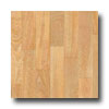 Tarkett Tarkett Fiber Floors Fresh Start - Timberline Honey Vinyl Floori