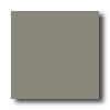 American Olean American Olean Quarry Tile Abrasive 6 X 6 Smoked Gray Tile  &  Sto