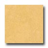 Forbo Forbo Marmoleum Click Plank Natural-com Vinyl Flooring