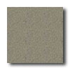 Mannington Mannington Biospec Olivia Vinyl Flooring