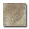 American Florim American Florim Truvian Stone 12 X 12 Clay Tile  &  Stone