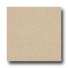 Armstrong Armstrong Medintech Tandem Inlaid Desert Gold Vinyl Flooring