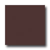 Armstrong Armstrong Uni Walton Warm Brown Vinyl Flooring