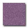 Mannington Mannington Brushwork Ultra Violet Vinyl Flooring