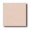 Crossville Crossville Cross-colors A 8 X 8 Polished Fawn Tile  &  Stone