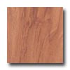 BHK Bhk Moderna Visions - 4 Edge Micro Beveled Plank Pecan Beveled H