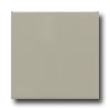 Daltile Daltile Modern Dimensions 2 1 / 8 X 8 1 / 2 Architectural Gray Matte