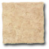 Mohawk Mohawk Monvedre 16 X 16 Beige Tile  &  Stone