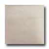 Tilecrest Tilecrest Bellisima 3 X 6 Sea Pearl Tile  &  Stone