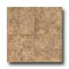 Congoleum Congoleum Xclusive - Solitaire Mossy Clay Stone Vinyl Flooring