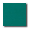 American Olean American Olean Integra 12 X 12 Hunter Solid Tile  &  Stone