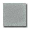 Santa Regina Santa Regina Designer 24 X 24 (polished) Dovetail Terrazzo Tile