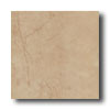New World New World S Series 18 X 18 Beige Tile  &  Stone