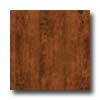 Metroflor Metroflor Solidity 40 - Handscraped Plank Autumn Vinyl Flooring