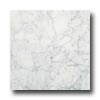Daltile Daltile Marble Polished 12 X 12 Carrara Gioia Tile  &  Stone