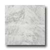 American Olean American Olean Stone Source 12 X 12 White Carrara Tile  &  Stone