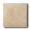 American Olean American Olean Vallano 12 X 12 Macadamia Tile  &  Stone
