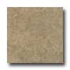 Armstrong Armstrong Colestone 16 X 16 Colestone Taupe Tile  &  Stone