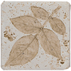 Tesoro Tesoro Fossil Listello Leaf A Tile  &  Stone